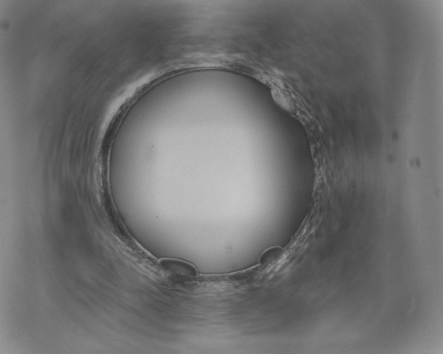 X0000072490342200608041421