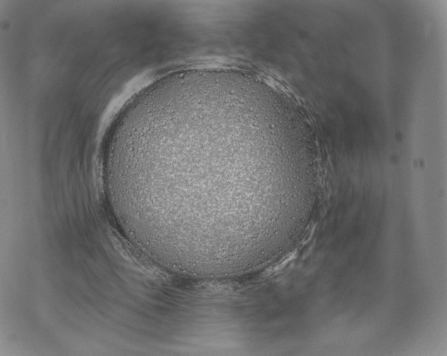 X0000072490343200608041421