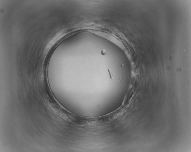 X0000072490344200608041421