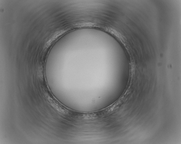 X0000072490345200608041421