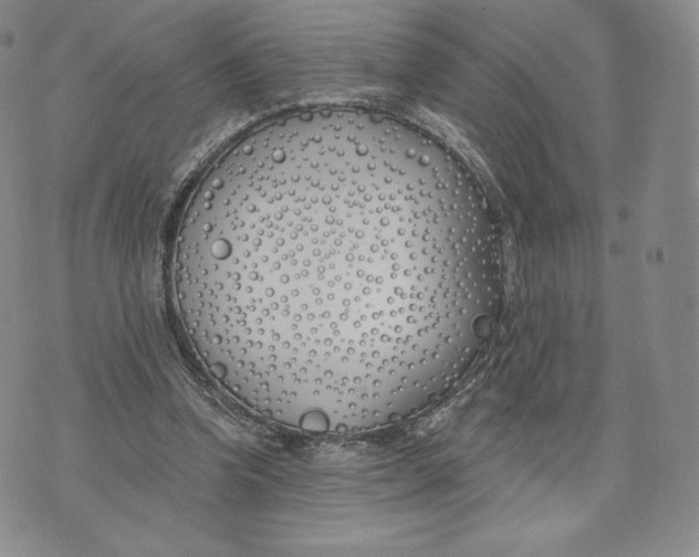 X0000072490346200608041421