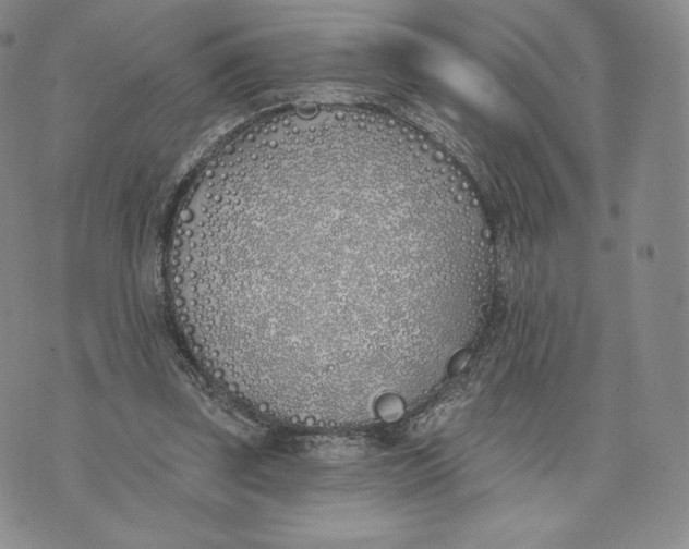 X0000072490347200608041421