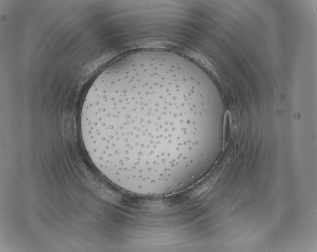 X0000072490349200608041422