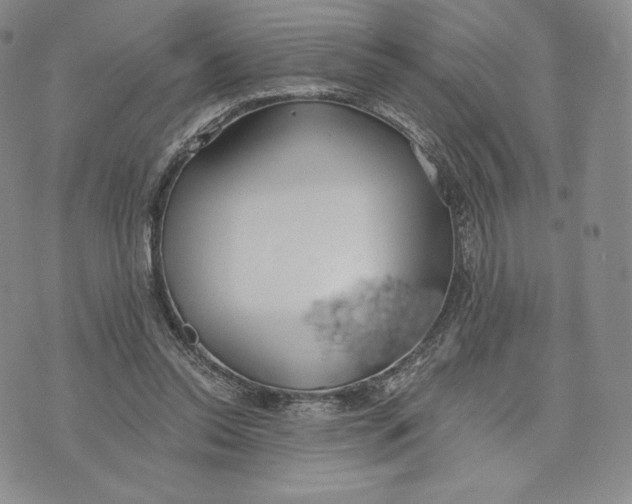 X0000072490350200608041422