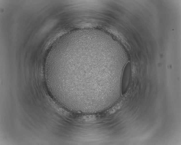 X0000072490353200608041422