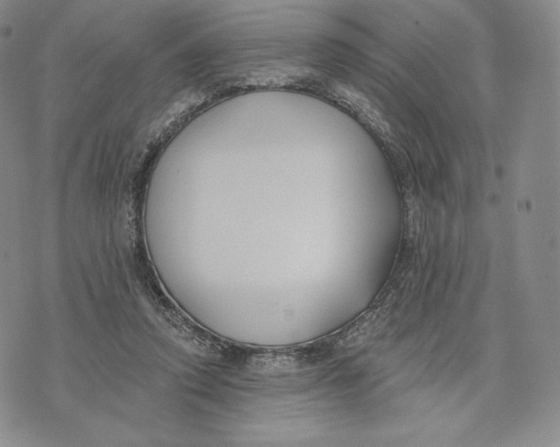 X0000072490354200608041422