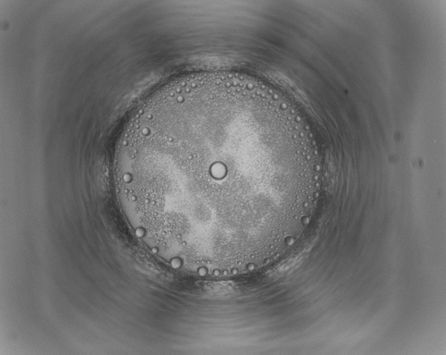 X0000072490355200608041422