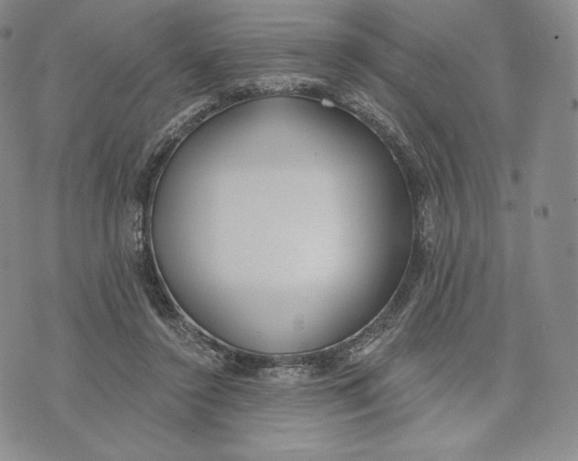 X0000072490356200608041422