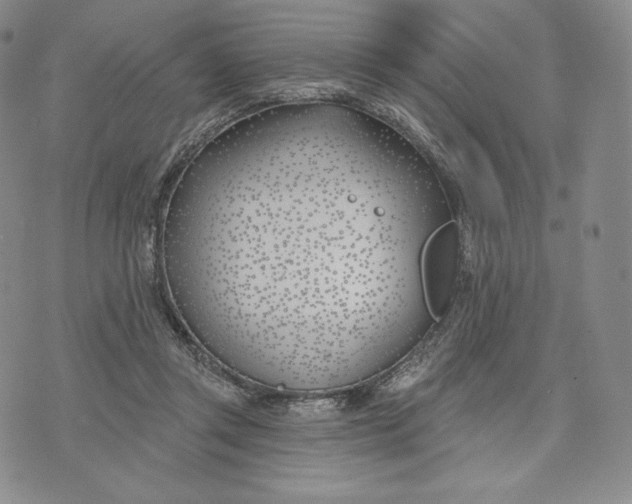 X0000072490357200608041422