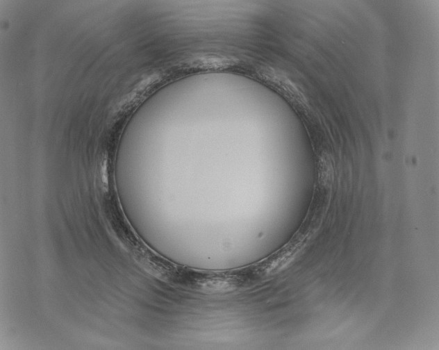 X0000072490358200608041422