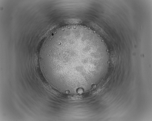 X0000072490359200608041422