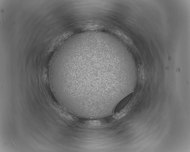 X0000072490361200608041422