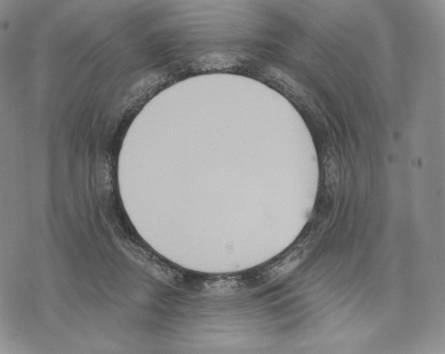 X0000072490362200608041422