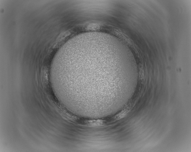 X0000072490363200608041422