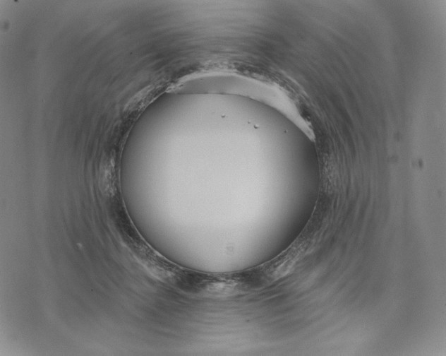 X0000072490364200608041422