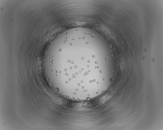 X0000072490366200608041422