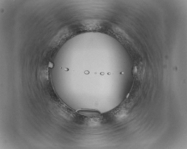 X0000072490368200608041422