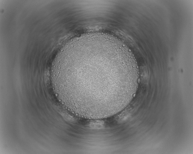 X0000072490369200608041422