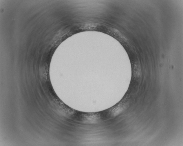 X0000072490370200608041422