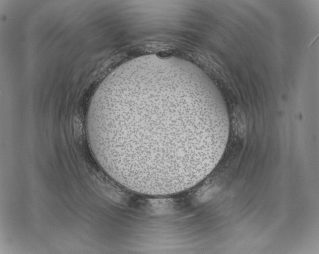 X0000072490371200608041422