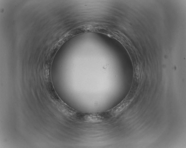 X0000072490372200608041422