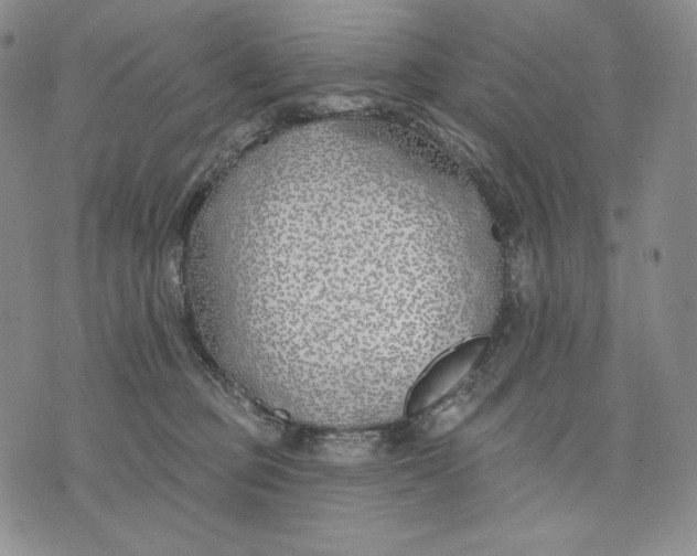 X0000072490373200608041422