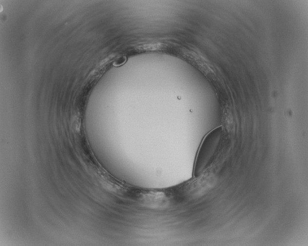 X0000072490374200608041422