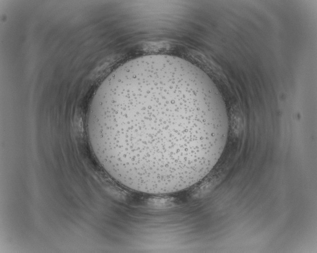 X0000072490375200608041422