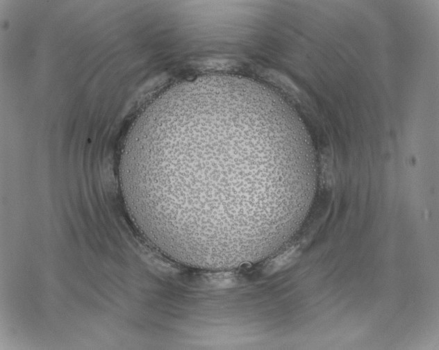 X0000072490377200608041422