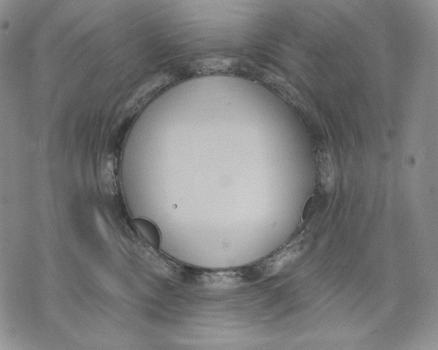 X0000072490378200608041422