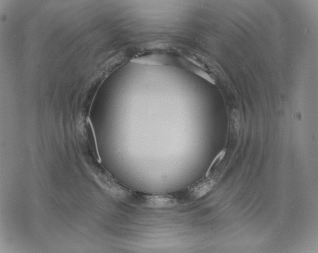 X0000072490380200608041422