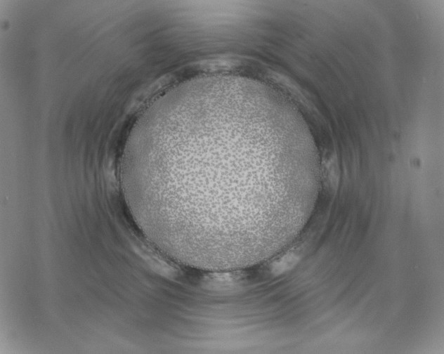 X0000072490381200608041422