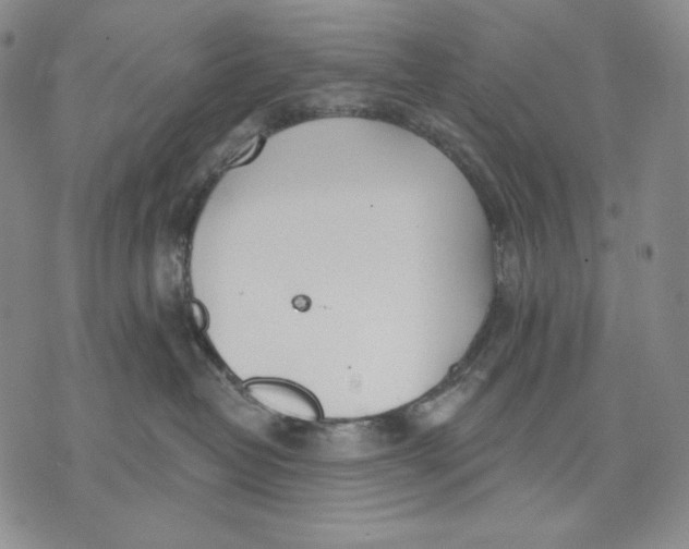 X0000072490382200608041422