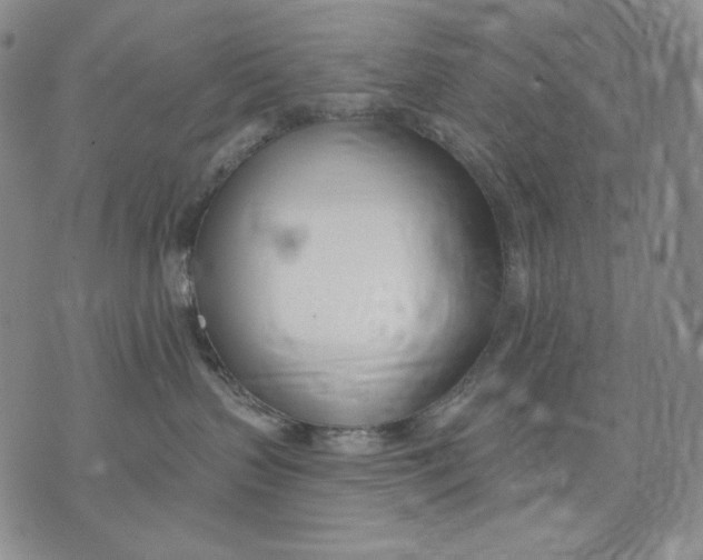 X0000072490383200608041422