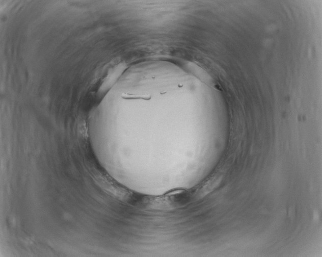 X0000072490384200608041422