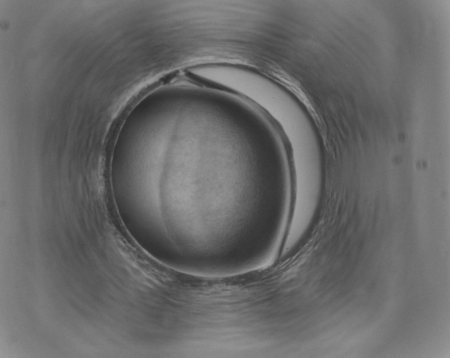 X0000072490387200608041421