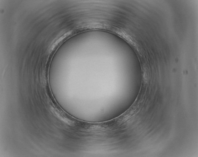 X0000072490390200608041421