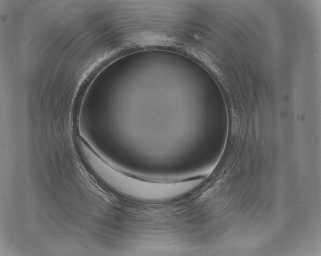 X0000072490391200608041421