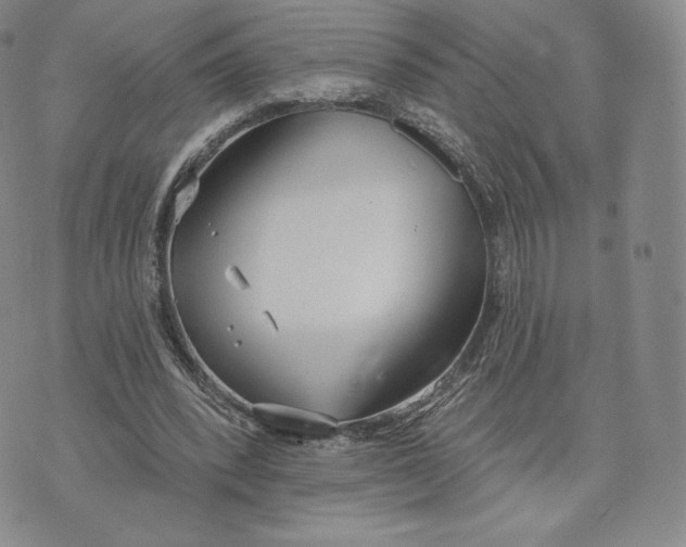 X0000072490392200608041421