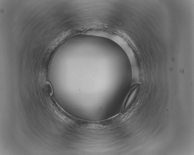 X0000072490393200608041421