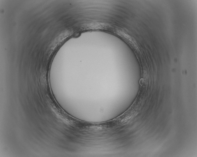 X0000072490394200608041421