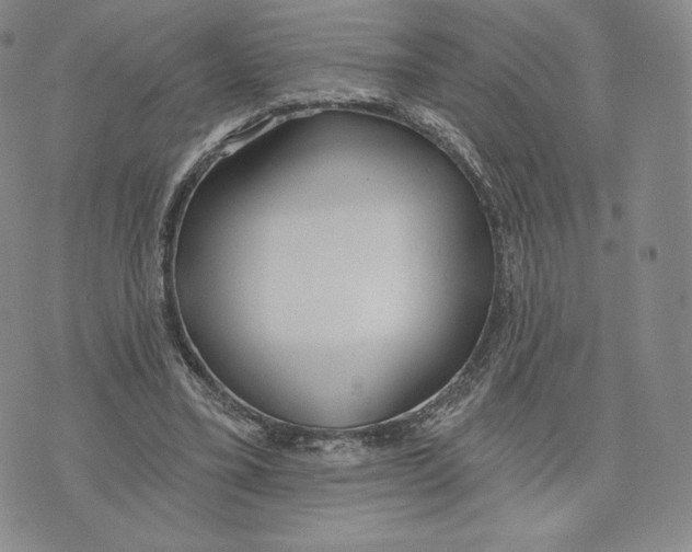 X0000072490395200608041421