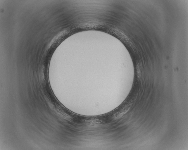 X0000072490396200608041421