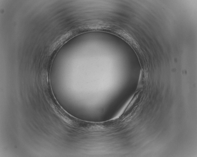 X0000072490397200608041421