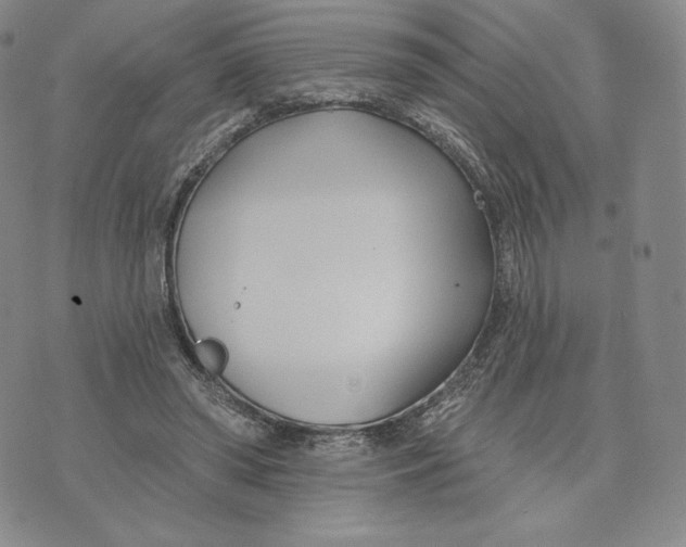 X0000072490398200608041421