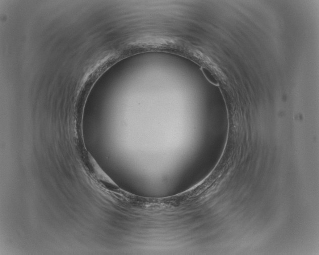 X0000072490399200608041421