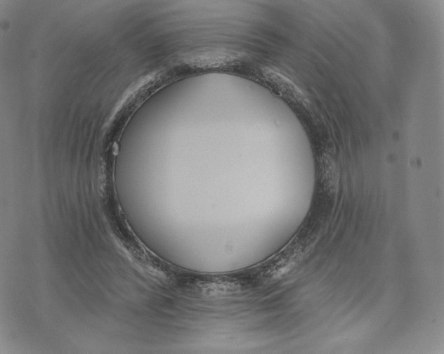 X0000072490400200608041421