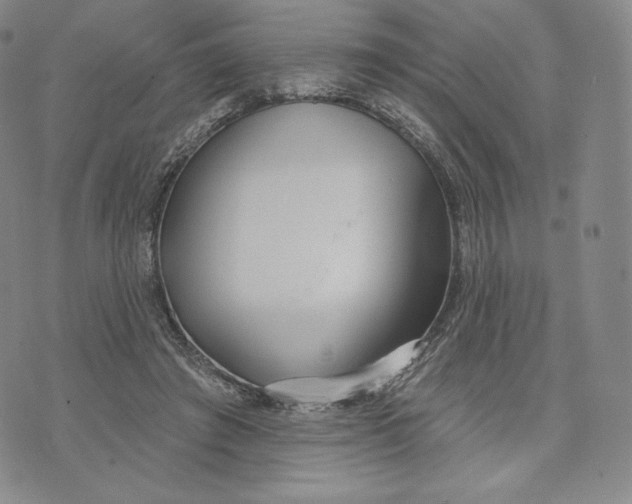 X0000072490401200608041421