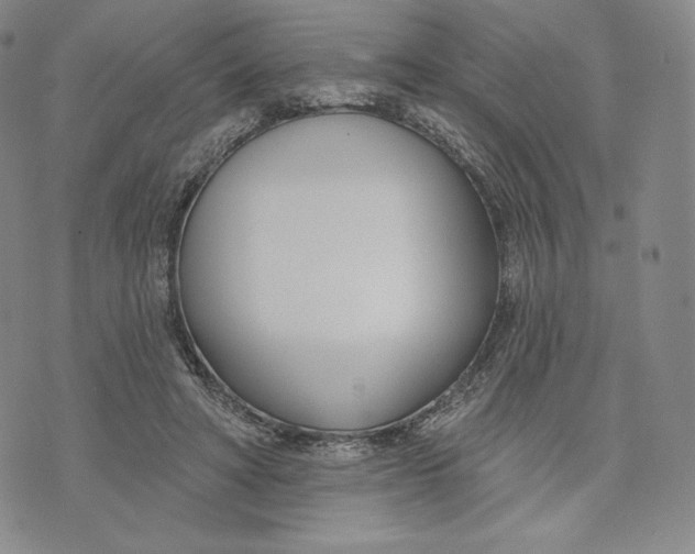 X0000072490402200608041421