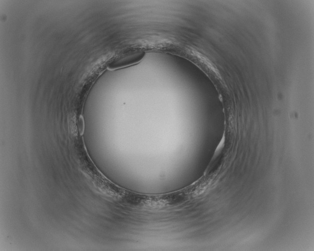 X0000072490403200608041421